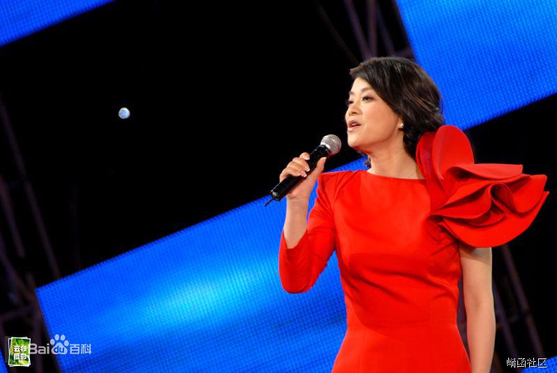 毛阿敏演出图册图片图集