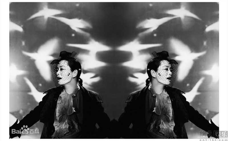 最新毛阿敏精彩图册