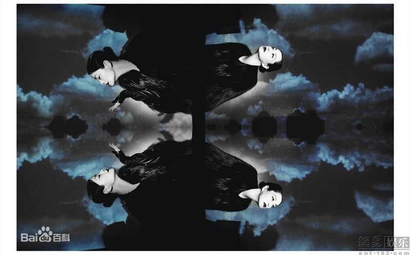 最新毛阿敏精彩图册