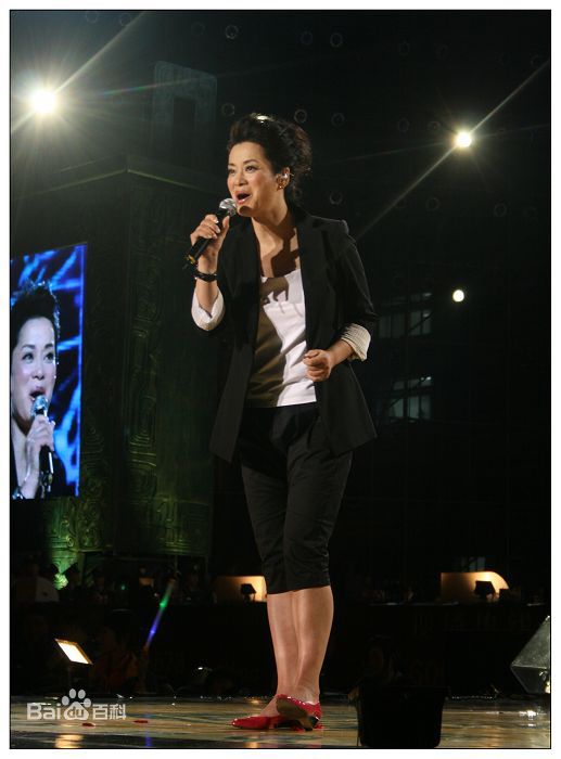 毛阿敏2009年参加演出性感图片图集