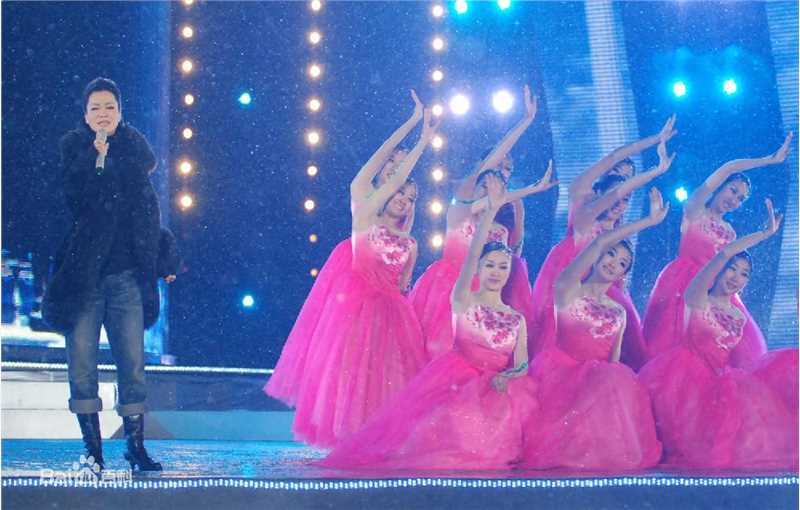 毛阿敏2009年参加演出性感图片图集