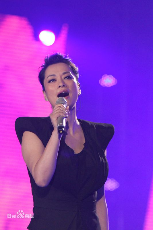 毛阿敏2009年参加演出性感图片图集
