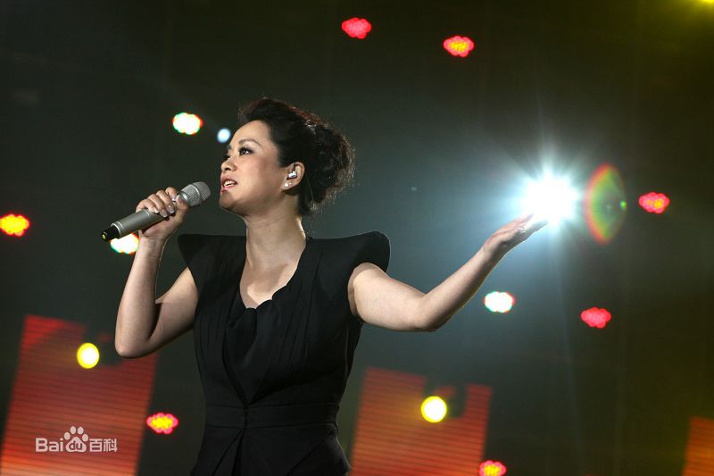 毛阿敏2009年参加演出性感图片图集