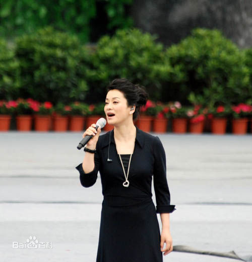 毛阿敏2009年参加演出性感图片图集