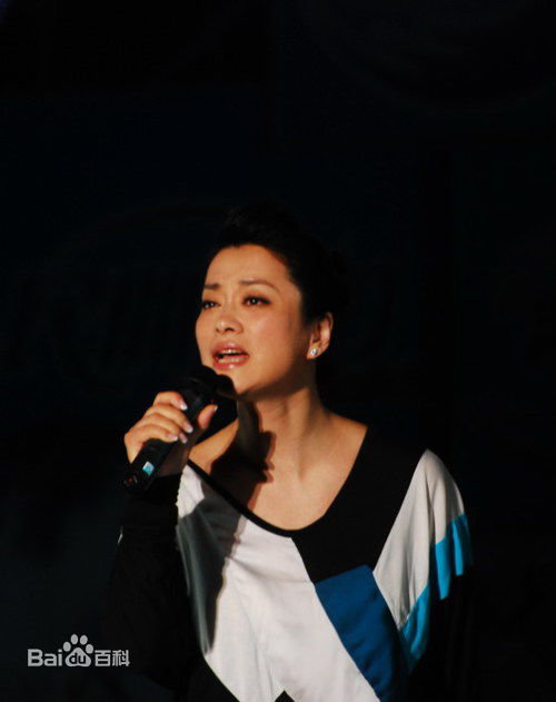 毛阿敏2009年参加演出性感图片图集