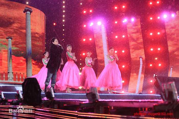 毛阿敏2009年参加演出性感图片图集