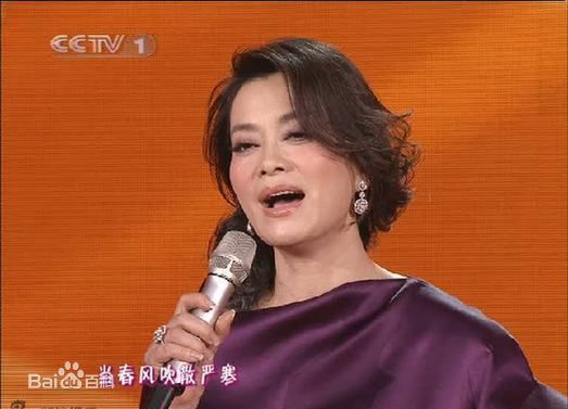 毛阿敏央视春节晚会系列照片壁纸壁纸