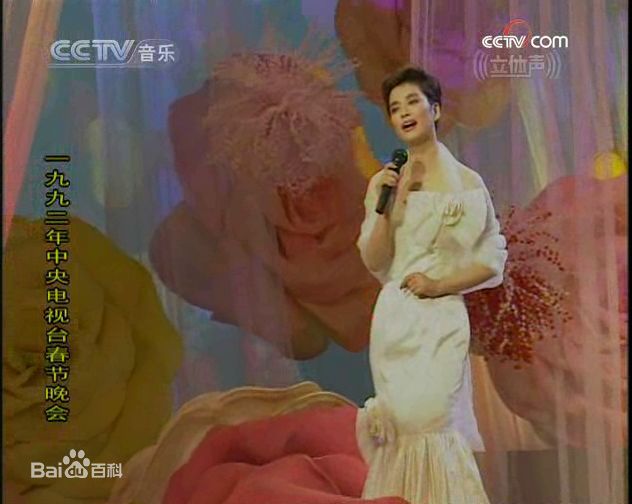 毛阿敏央视春节晚会系列照片壁纸壁纸