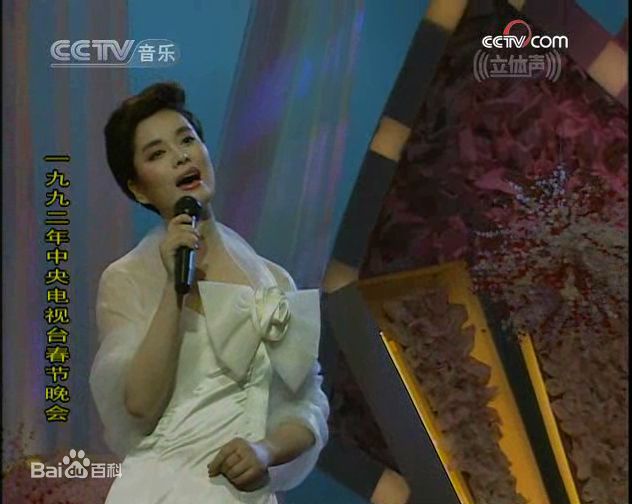 毛阿敏央视春节晚会系列照片壁纸壁纸