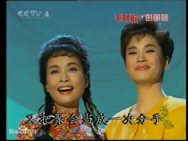 毛阿敏央视春节晚会系列照片壁纸壁纸
