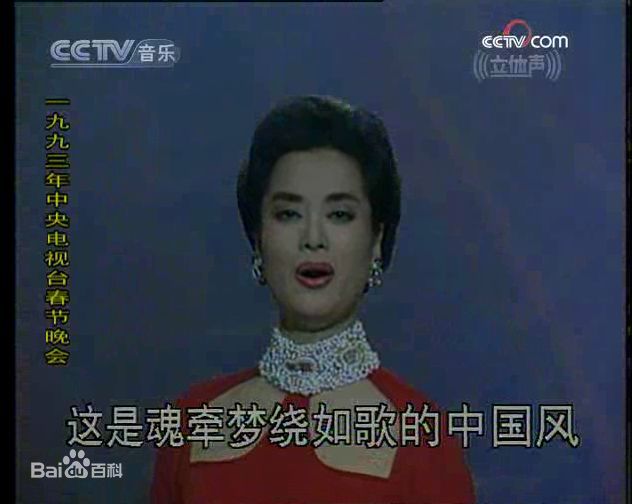 毛阿敏央视春节晚会系列照片壁纸壁纸