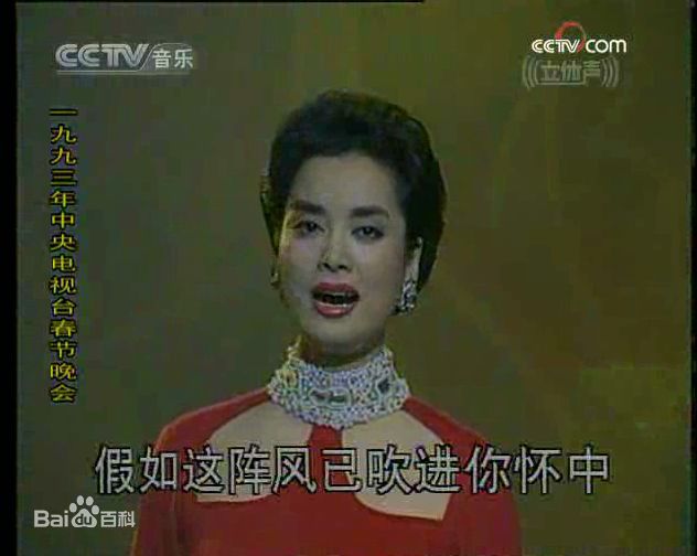 毛阿敏央视春节晚会系列照片壁纸壁纸