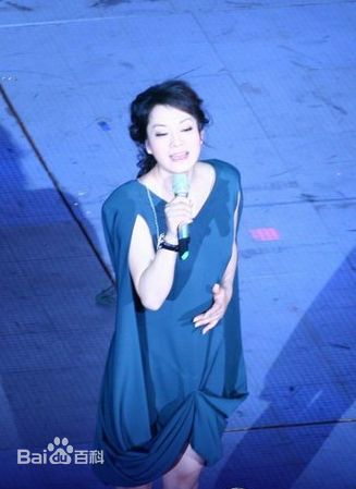 毛阿敏央视春节晚会系列照片壁纸壁纸