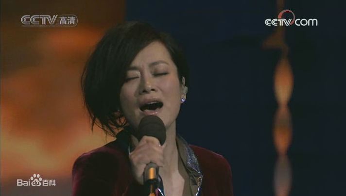 毛阿敏央视春节晚会系列照片壁纸壁纸