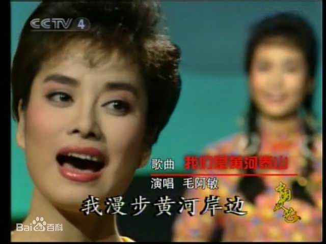 毛阿敏央视春节晚会系列照片壁纸壁纸