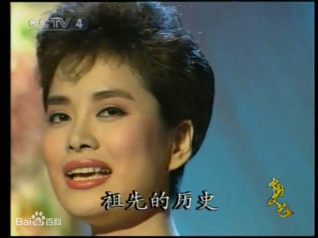 毛阿敏央视春节晚会系列照片壁纸壁纸