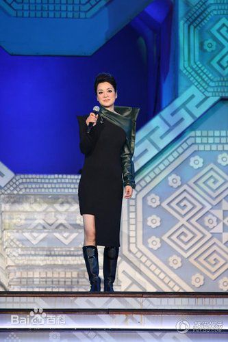 毛阿敏参加活动照片生活照相册