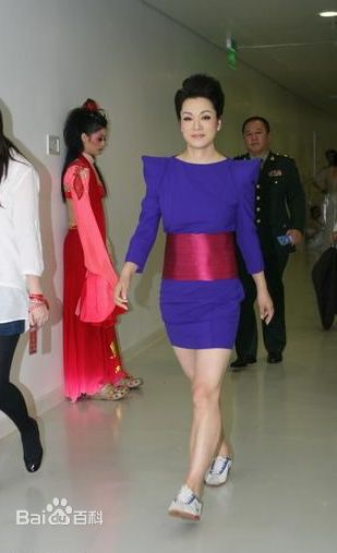 毛阿敏参加活动照片生活照相册