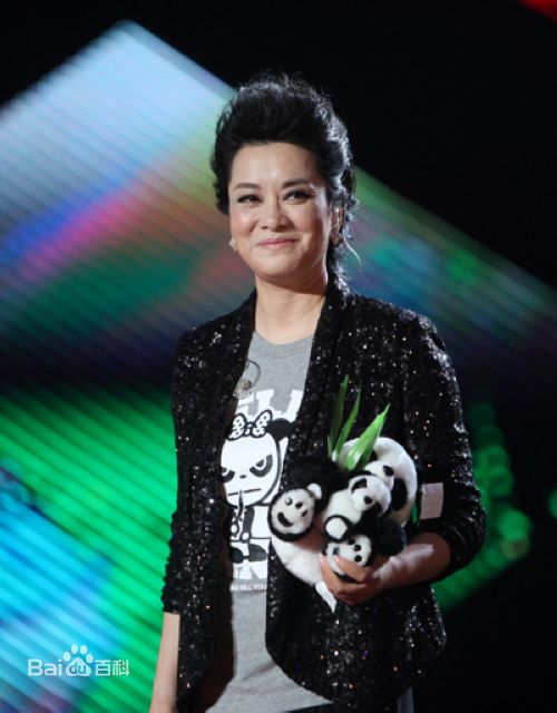 毛阿敏参加活动照片生活照相册