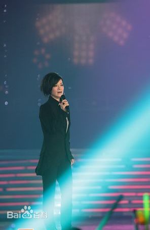 毛阿敏2008年金鹰节素颜照相册