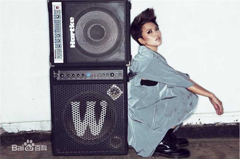 最全谭维维(Sitar tan)精彩图册