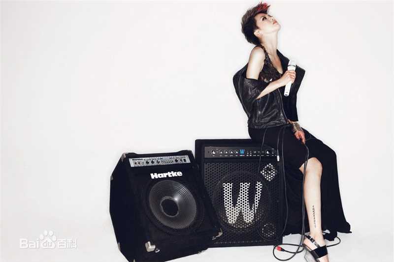 最全谭维维(Sitar tan)精彩图册