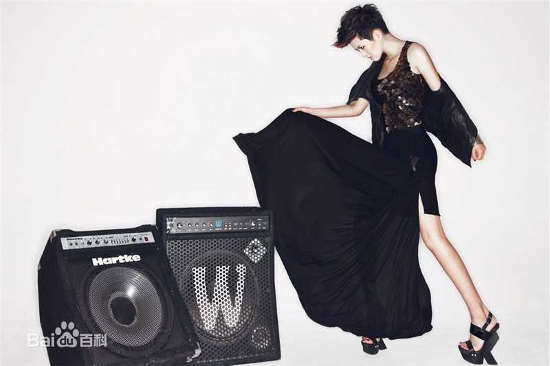 最全谭维维(Sitar tan)精彩图册