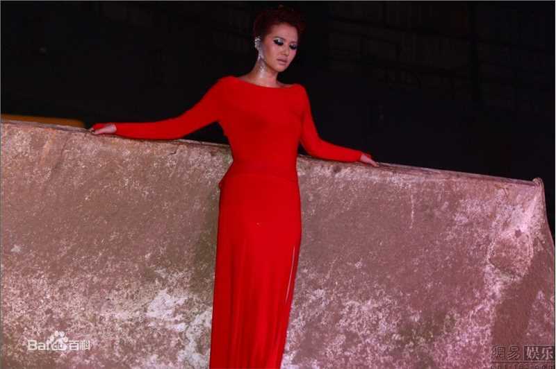 最全谭维维(Sitar tan)精彩图册