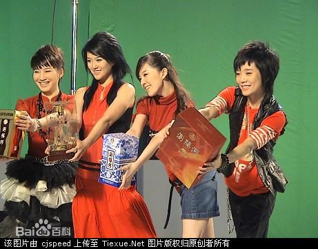 谭维维(Sitar tan)广告代言图片图集