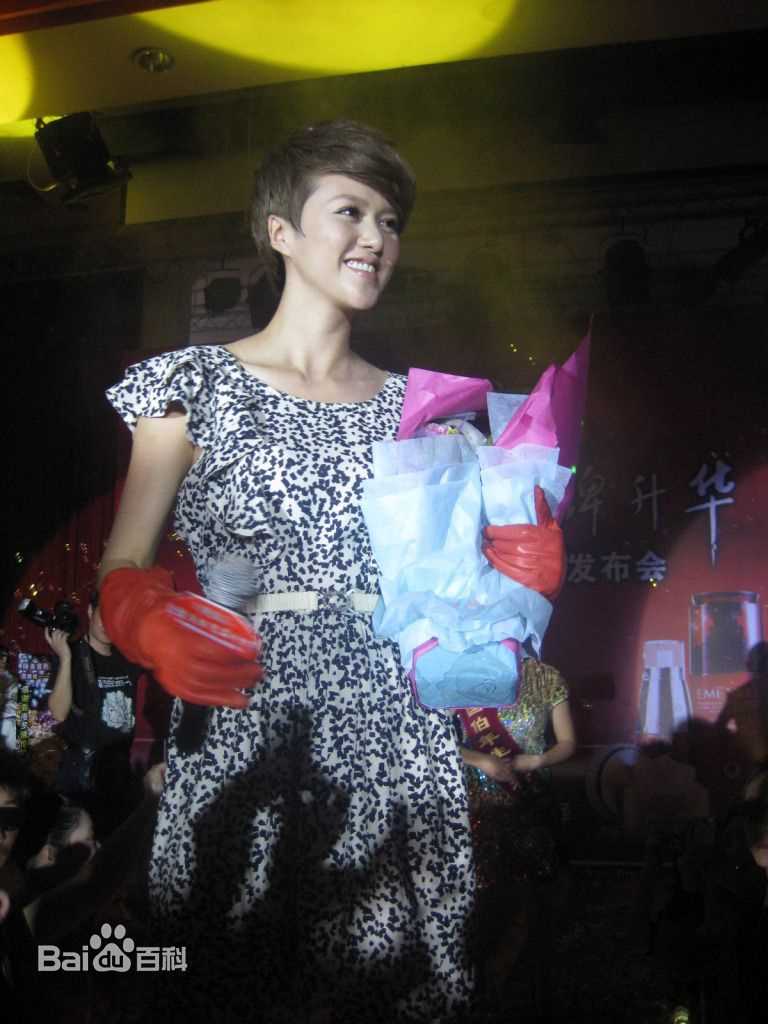 谭维维(Sitar tan)广告代言图片图集