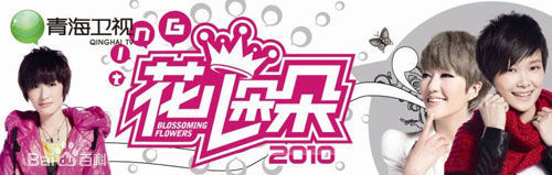 谭维维(Sitar tan)广告代言图片图集