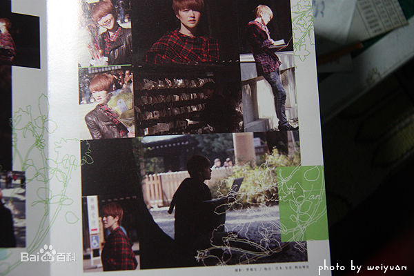 谭维维(Sitar tan)谭某某专辑照图册