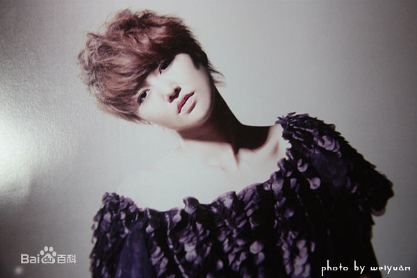 谭维维(Sitar tan)谭某某专辑照图册