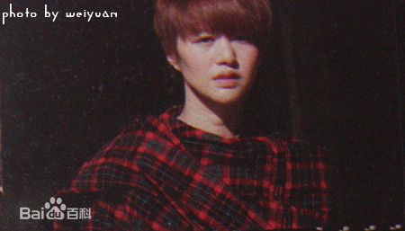 谭维维(Sitar tan)谭某某专辑照图册