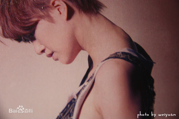 谭维维(Sitar tan)谭某某专辑照图册