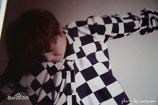 谭维维(Sitar tan)谭某某专辑照图册