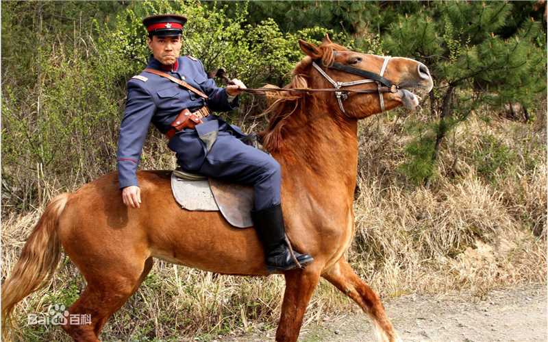 王韦智《开国元勋朱德》精选剧照