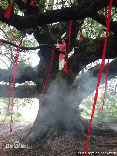 曹曦文2010年《黄梅戏宗师传奇》最新剧照