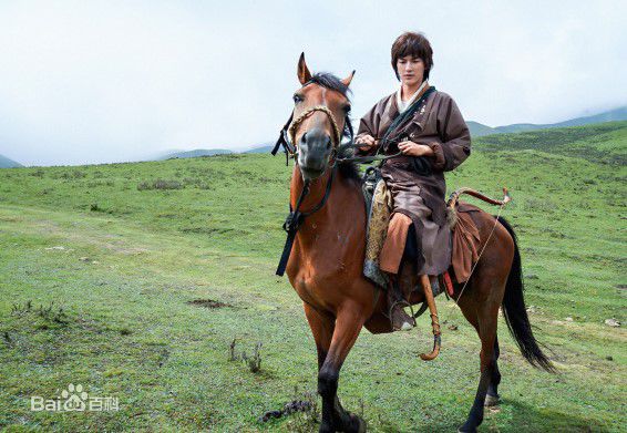 最优质杨旭文(William)在《射雕英雄传》饰演郭靖中的相册