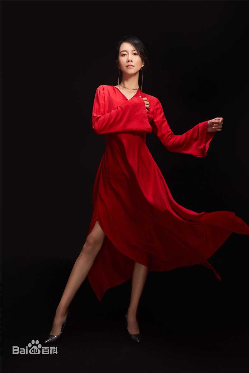 温峥嵘(WenZhengRong)