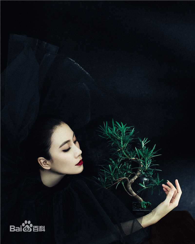 温峥嵘(WenZhengRong)最新图集