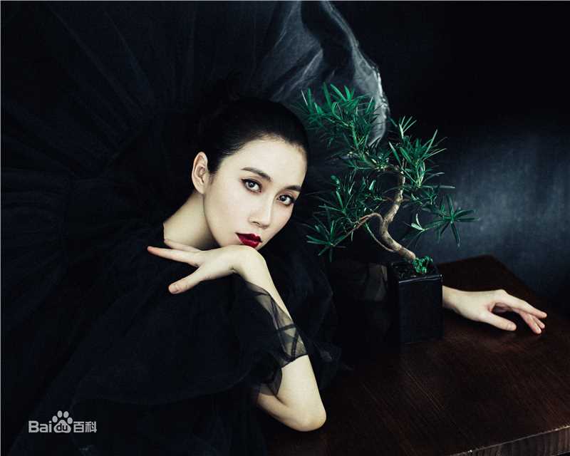 温峥嵘(WenZhengRong)最新图集