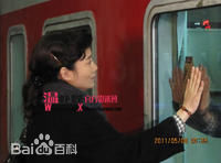 温峥嵘(WenZhengRong)在2011年《错爱3》饰演杨白中的