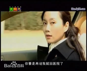 最新温峥嵘(WenZhengRong)在2007年《前妻》饰演社会记者杨安妮中的图集