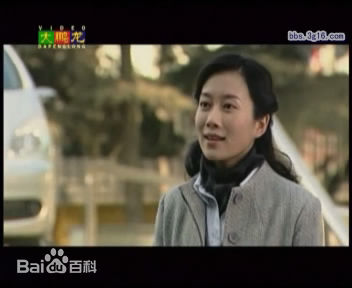 最新温峥嵘(WenZhengRong)在2007年《前妻》饰演社会记者杨安妮中的图集