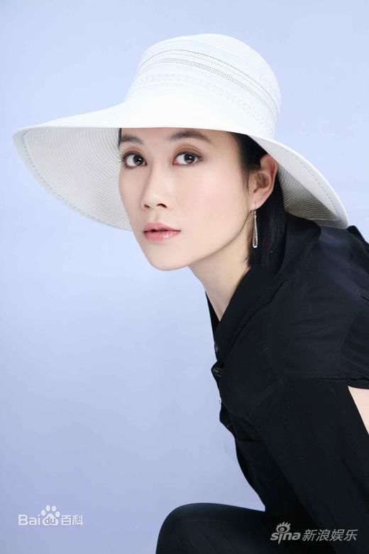 温峥嵘(WenZhengRong)集