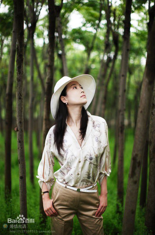 温峥嵘(WenZhengRong)集