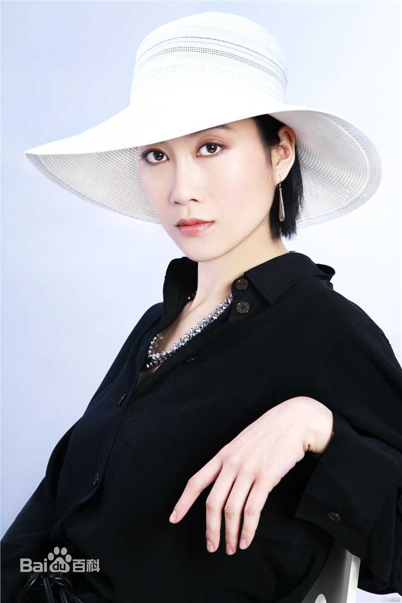 温峥嵘(WenZhengRong)集