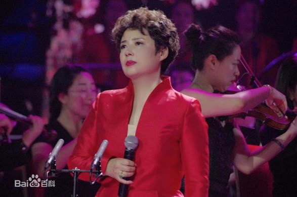 陈力演唱记录前后照片