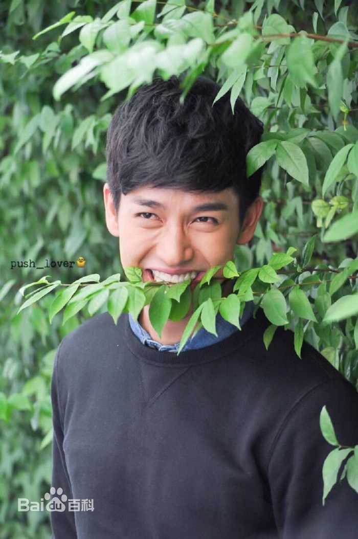 普提查·克瑟辛(Puttichai Kasetsin、 )(push)壁纸壁纸